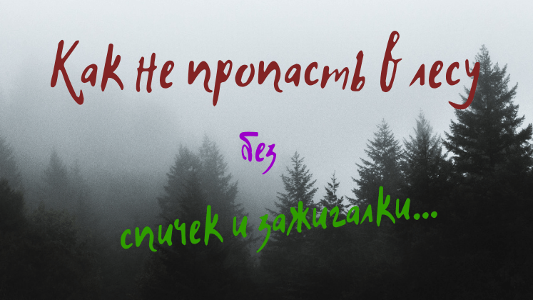 Что делать, когда остался в лесу без огня? Разжигаем костер без спичек и зажигалки...